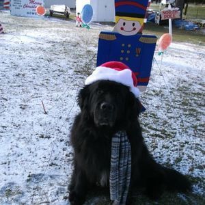 Meet your Posher, Joseph